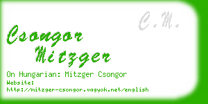 csongor mitzger business card